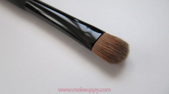 PUPA Review Professional Eyes and Lips Brushes